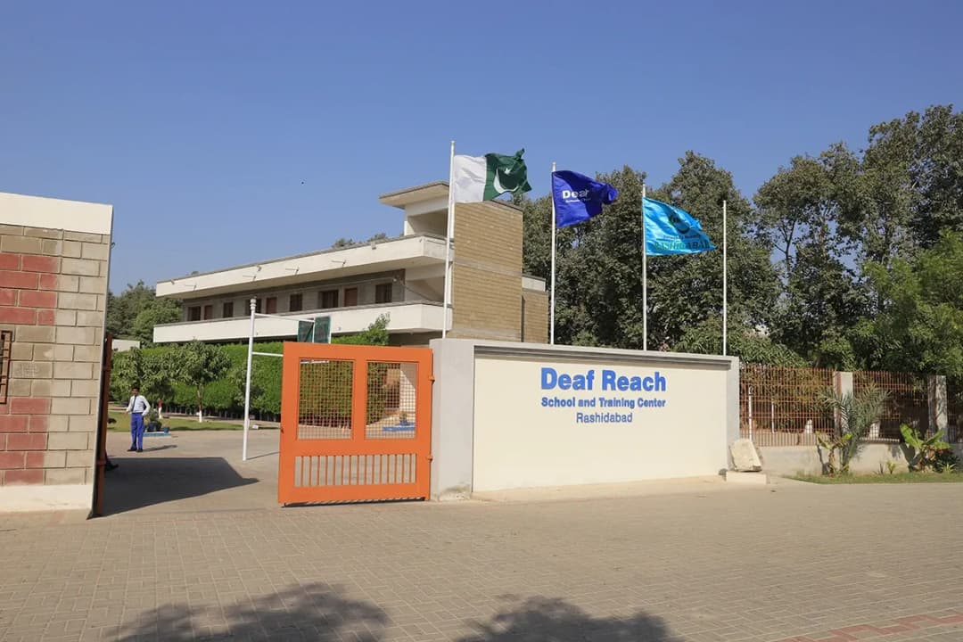 OUR ORGANIZATION